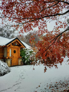 Blue Bird House San Carlos De Bariloche